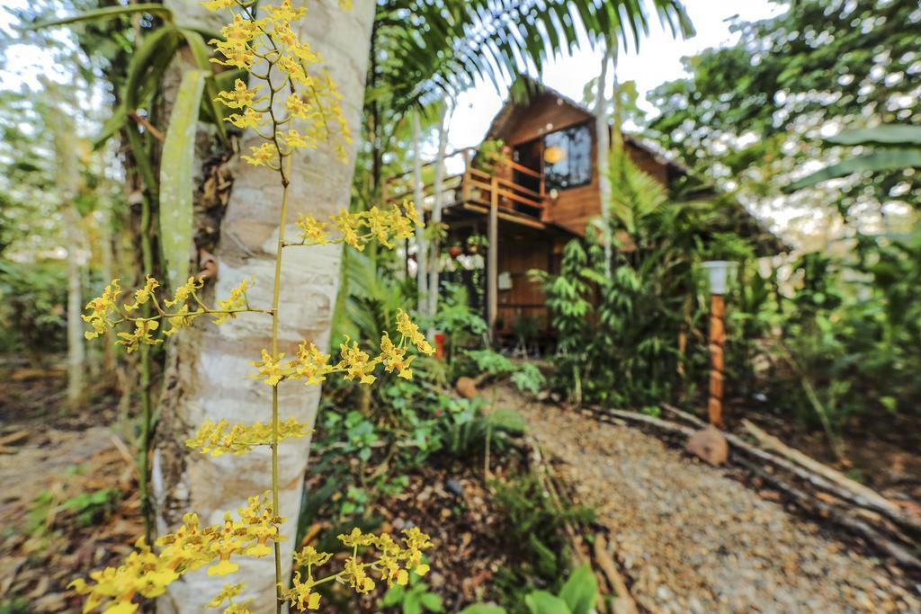 Kapievi Ecovillage Puerto Maldonado Exterior foto